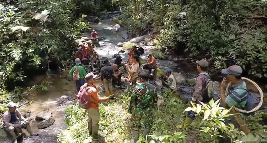 Pria Pencari Rotan Hilang di Hutan Kalamio Seko, Tim SAR Turun Tangan