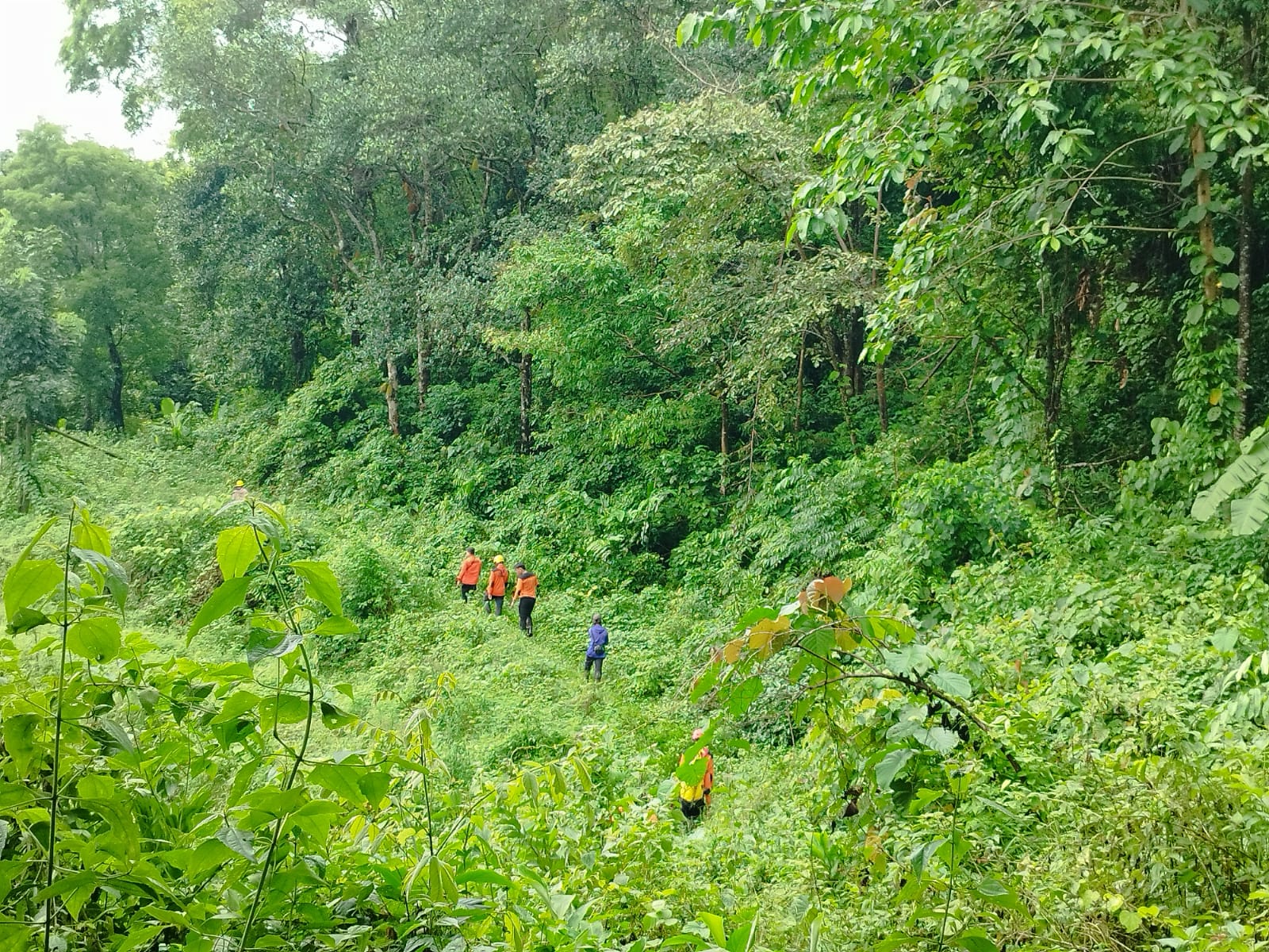 Seorang Kakek Dilaporkan Hilang di Hutan Panyikkokang, Tim SAR Turun Tangan
