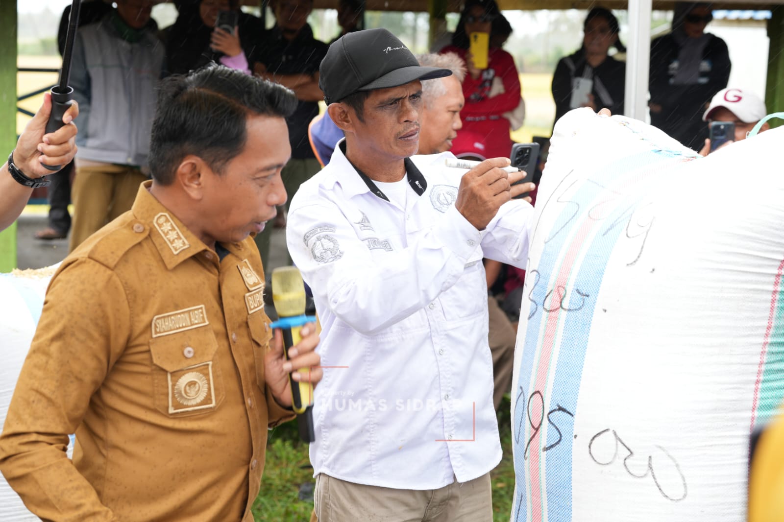Produksi Gabah Sidrap Tembus Rp4,6 Triliun, Bupati Syaharuddin Alrif Pacu Cetak Sawah 5.000 Hektare