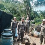 Sempat Viral, Kandang Babi di Dekat Gudang Farmasi Dg Tata Makassar Akhirnya Ditertibkan