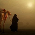Halal atau Haram? Ini Hukum Penyembelihan Hewan Jika Dilakukan Perempuan
