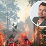 Aktor Hollywood Leonardo DiCaprio Soroti Bencana Karhutla Kalimantan di Media Sosial