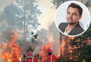 Aktor Hollywood Leonardo DiCaprio Soroti Bencana Karhutla Kalimantan di Media Sosial